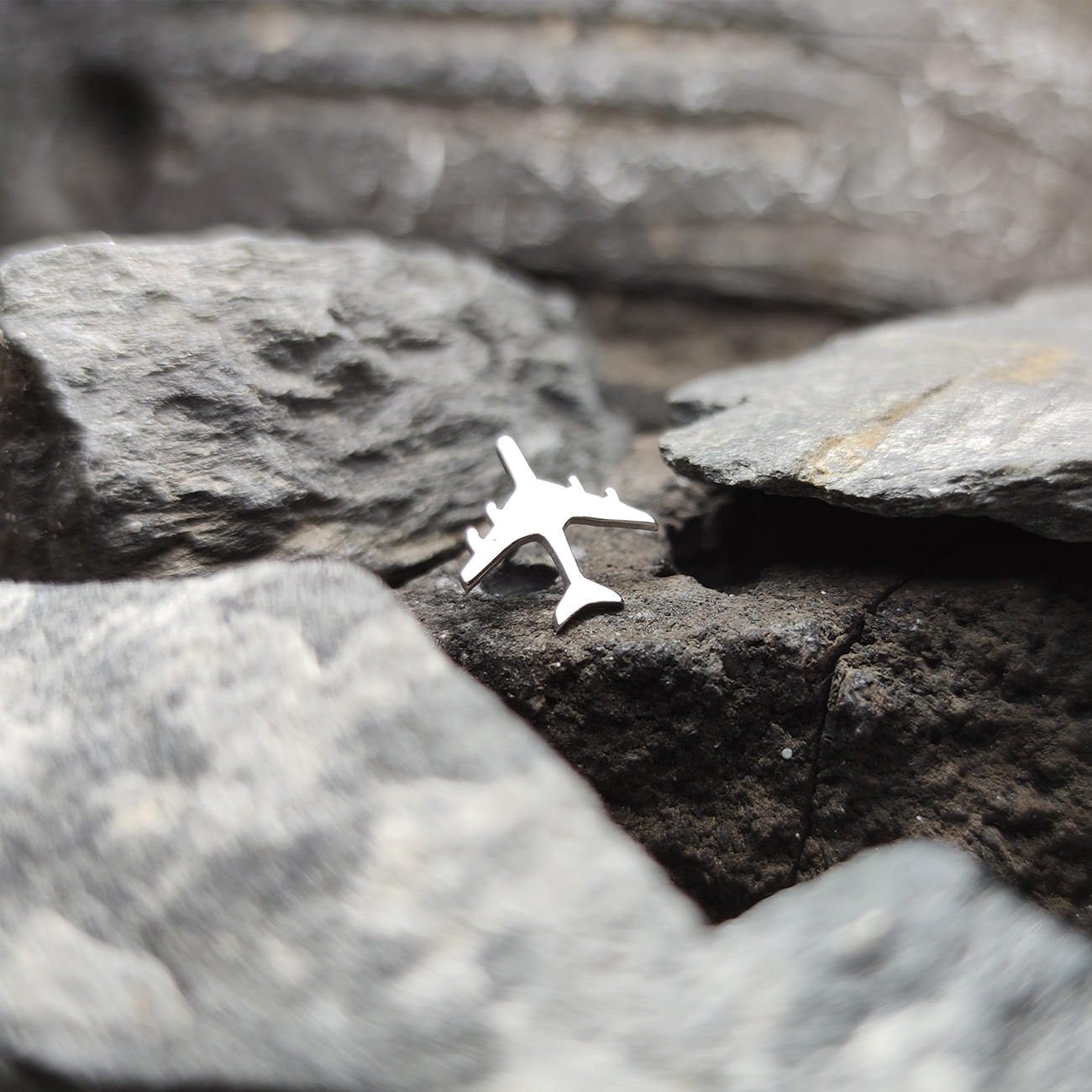 Insignă argint avion